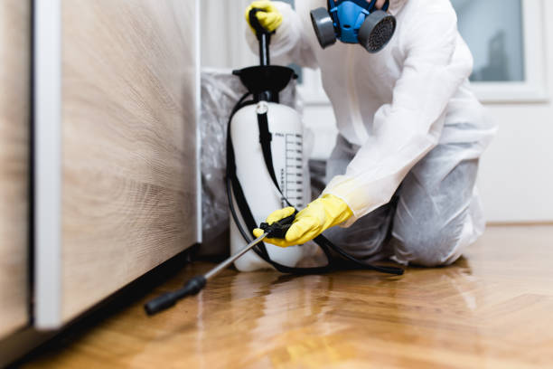Best Affordable Pest Control Services  in Coweta, OK