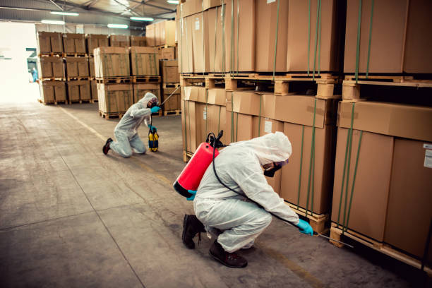 Best Emergency Pest Control  in Coweta, OK