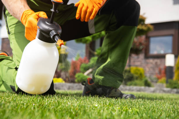 Best Residential Pest Control  in Coweta, OK