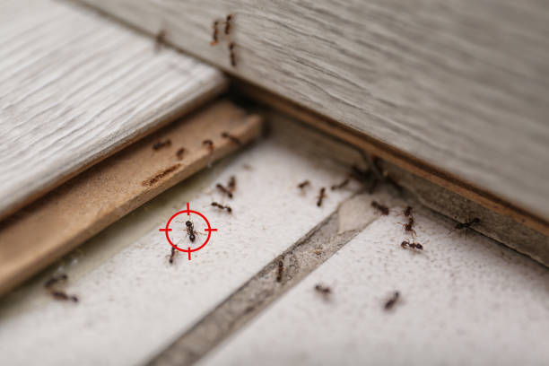 Coweta, OK Pest Control Company