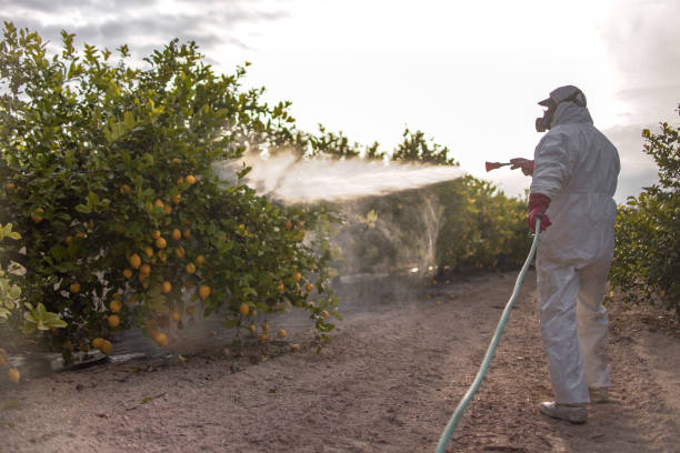 Best Cockroach Control Services  in Coweta, OK