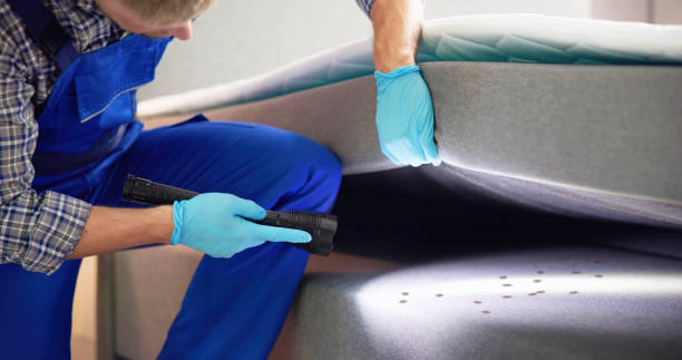 Best Best Pest Control Companies  in Coweta, OK
