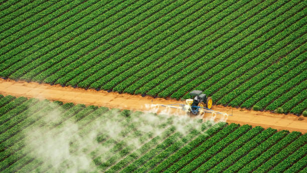 Pest Control Cost in Coweta, OK