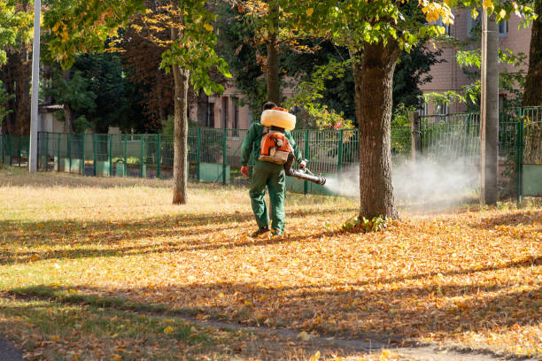 Wildlife Control Services in Coweta, OK