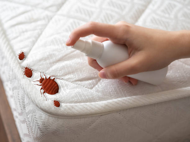 Best Affordable Pest Control Services  in Coweta, OK