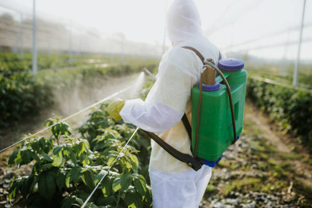 Best Best Pest Control Near Me  in Coweta, OK